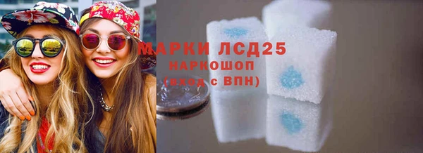 PSILOCYBIN Алзамай