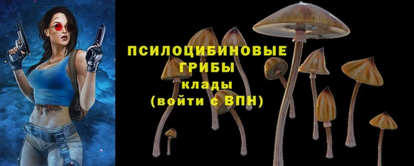 PSILOCYBIN Абаза
