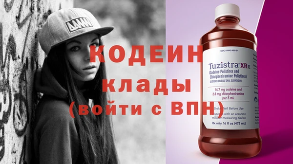 индика Кинешма