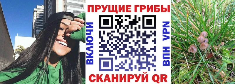 Галлюциногенные грибы мухоморы  Ряжск 